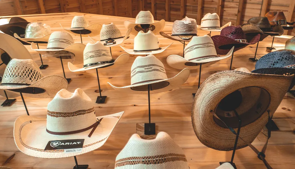 The image depicts a collection of various styles of cowboy and western hats displayed on stands in a well-lit wooden interior