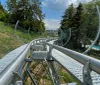 A person is enjoying a ride on an alpine coaster amidst green surroundings on a sunny day