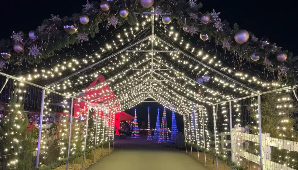 A festive pathway is adorned with twinkling white lights and holiday decorations creating an inviting and magical evening atmosphere