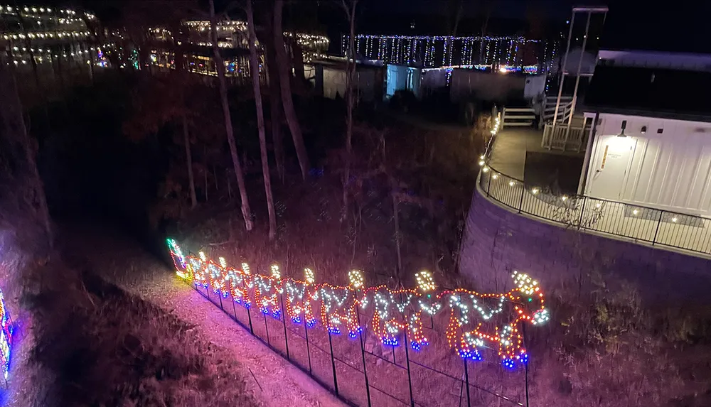 This image shows a festive outdoor scene at night with colorful lights arranged to resemble reindeer leading up a hill accompanied by other illuminated decorations in the background