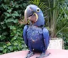 A young person and an adult are posing with a colorful red macaw and a blue hyacinth macaw perched on their arms