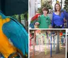 A young person and an adult are posing with a colorful red macaw and a blue hyacinth macaw perched on their arms