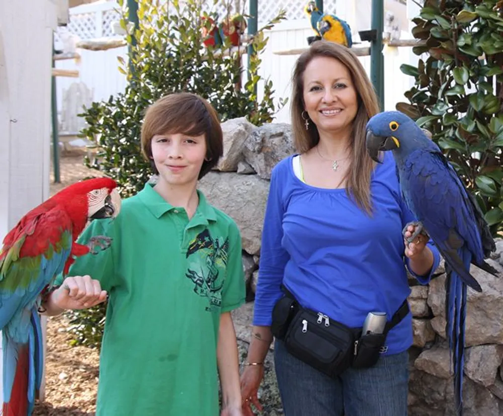 A young person and an adult are posing with a colorful red macaw and a blue hyacinth macaw perched on their arms