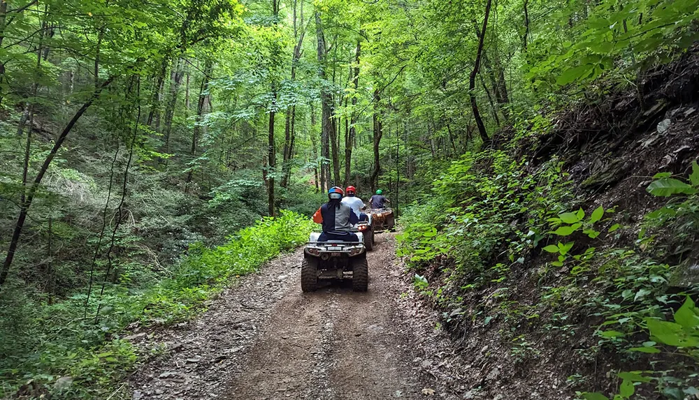Two people are riding an ATV through a lush green forest trail