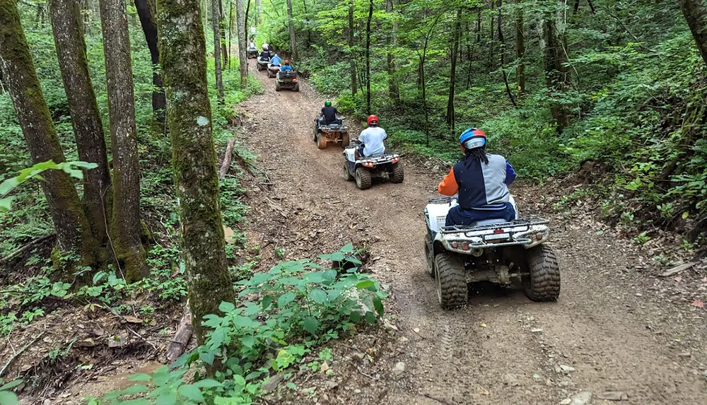 A group of riders on all-terrain vehicles ATVs are navigating a forest trail