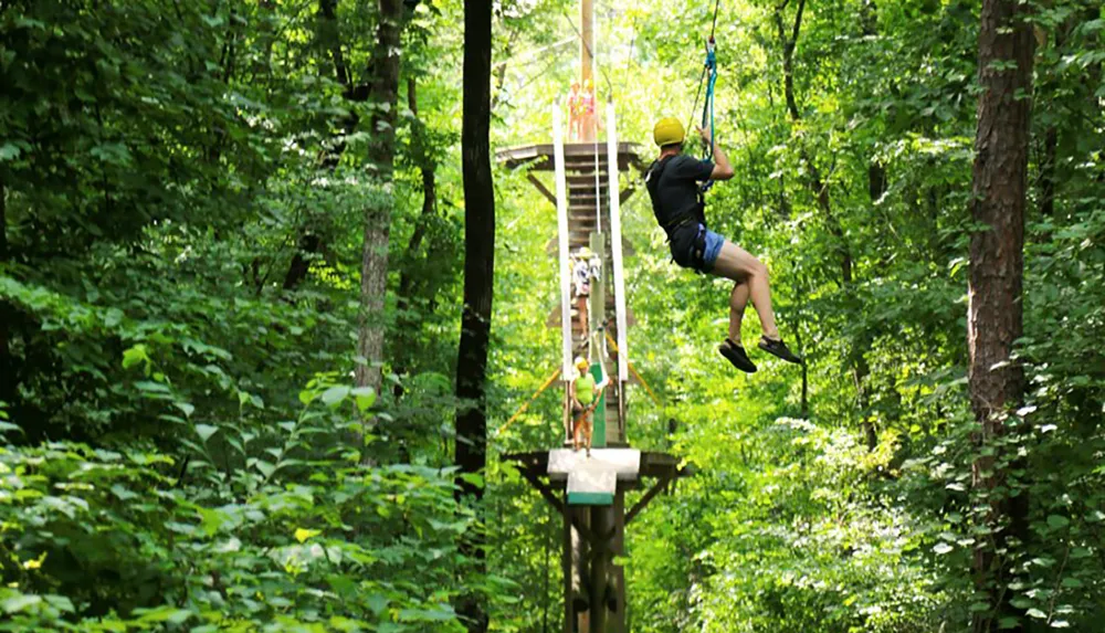 A person is ziplining through a green lush forest wearing a helmet and safety gear