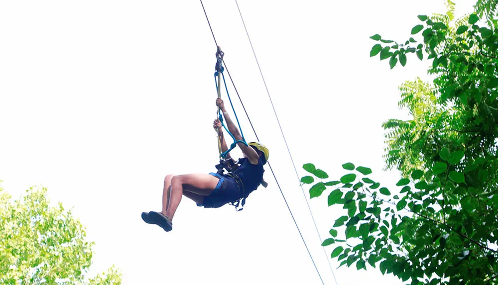 A person is gliding down a zip line amidst green foliage