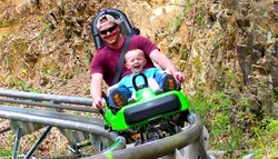 Popular Alpine Coasters