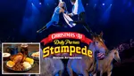 Dolly Parton's Stampede Pigeon Forge Vacation Package