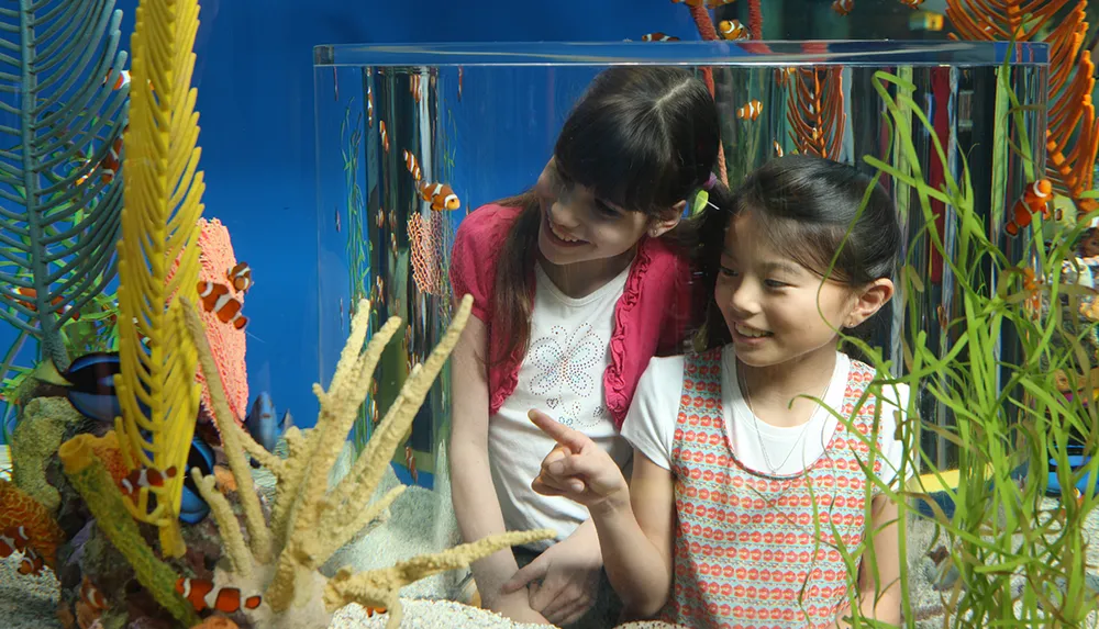Two young girls are smiling and looking at colorful fish in an aquarium