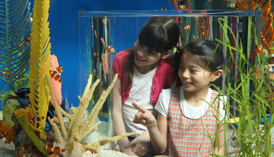 Two young girls are smiling and looking at colorful fish in an aquarium.