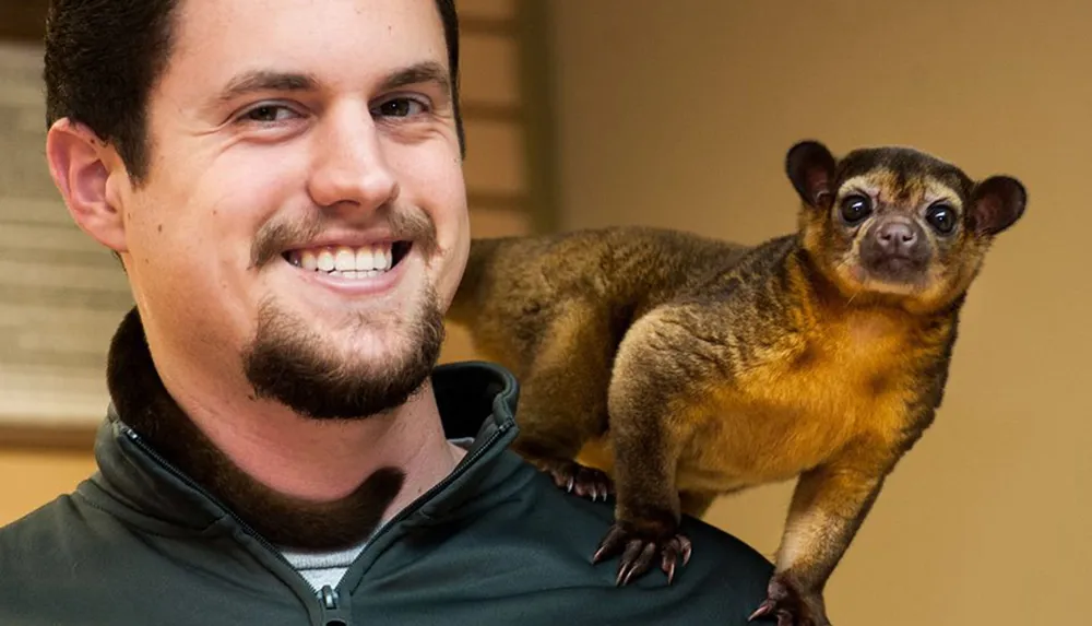 A smiling man poses with a kinkajou perched on his shoulder