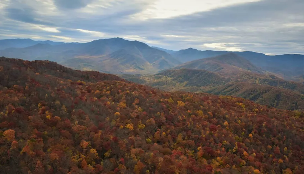 The image captures a vast expanse of rolling hills blanketed in the vibrant colors of autumn foliage under a subdued sky with streaks of light filtering through the clouds