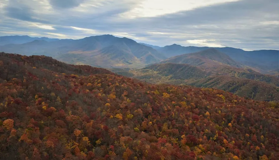 The image captures a vast expanse of rolling hills blanketed in the vibrant colors of autumn foliage, under a subdued sky with streaks of light filtering through the clouds.