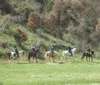 Gold Rush Stables - Pigeon Forge Horseback Riding