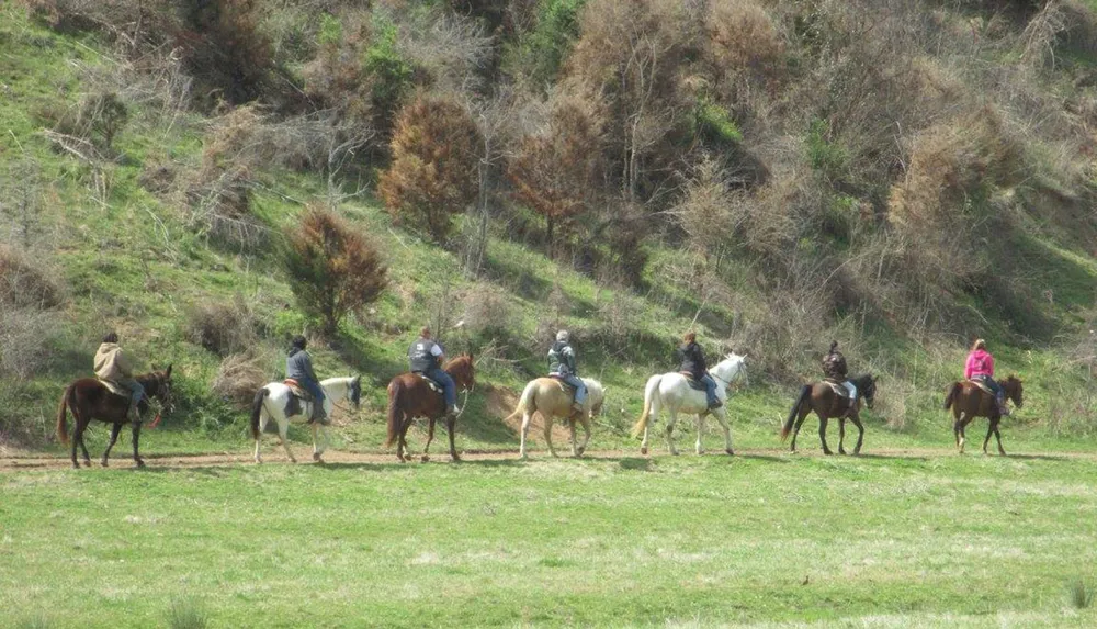 Gold Rush Stables - Pigeon Forge Horseback Riding