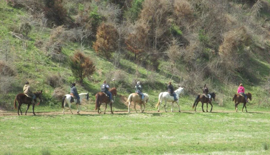 Gold Rush Stables - Pigeon Forge Horseback Riding
