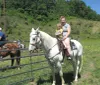 Gold Rush Stables - Pigeon Forge Horseback Riding