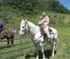 Gold Rush Stables - Pigeon Forge Horseback Riding