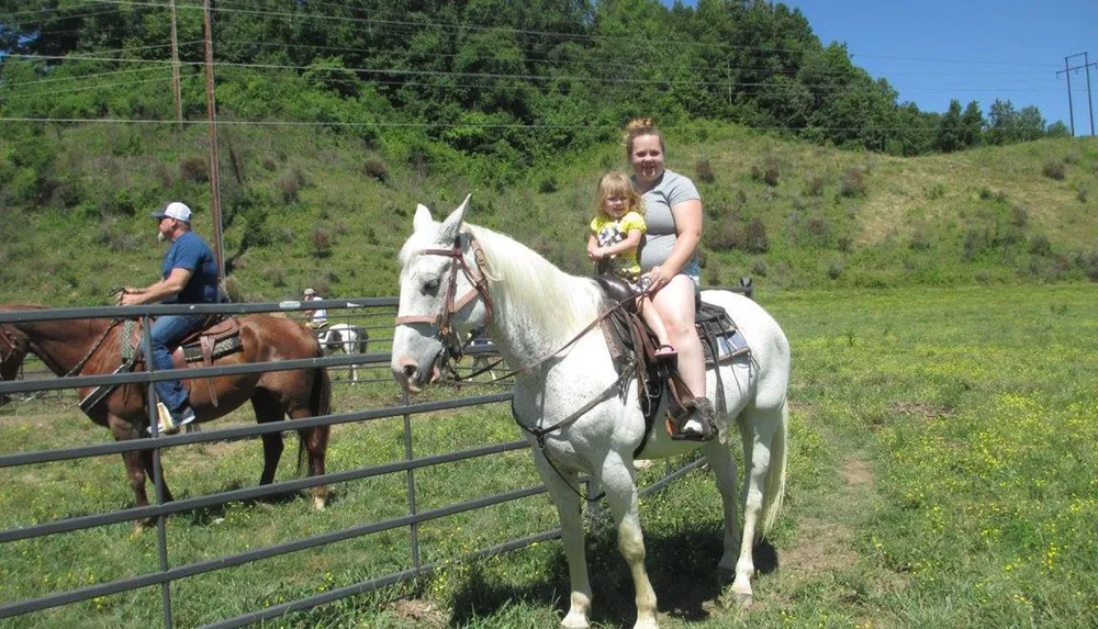 Gold Rush Stables - Pigeon Forge Horseback Riding