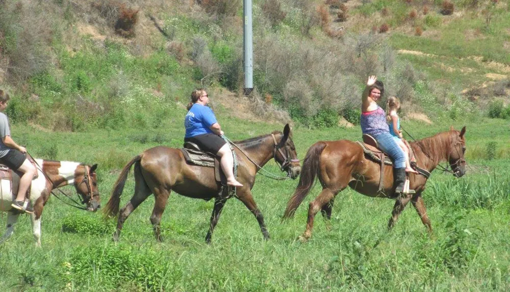 Gold Rush Stables - Pigeon Forge Horseback Riding