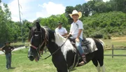 Gold Rush Stables - Pigeon Forge Horseback Riding
