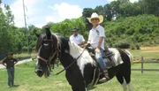 Gold Rush Stables - Pigeon Forge Horseback Riding
