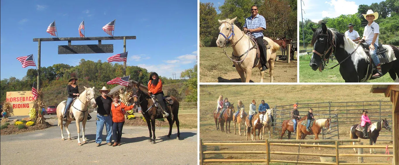 Gold Rush Stables - Pigeon Forge Horseback Riding