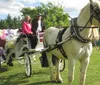 Heritage Carriage Rides