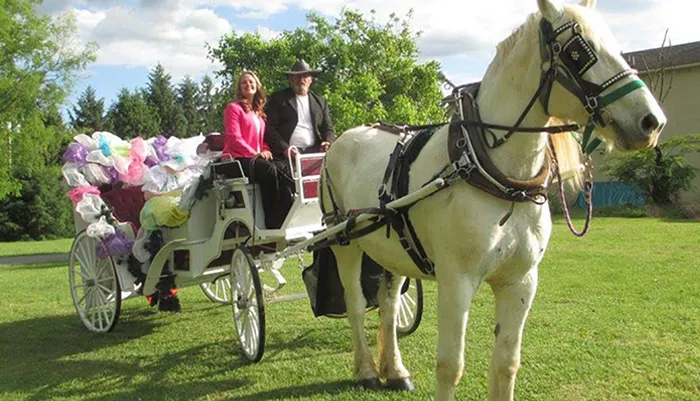 Heritage Carriage Rides Photo