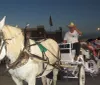 Heritage Carriage Rides