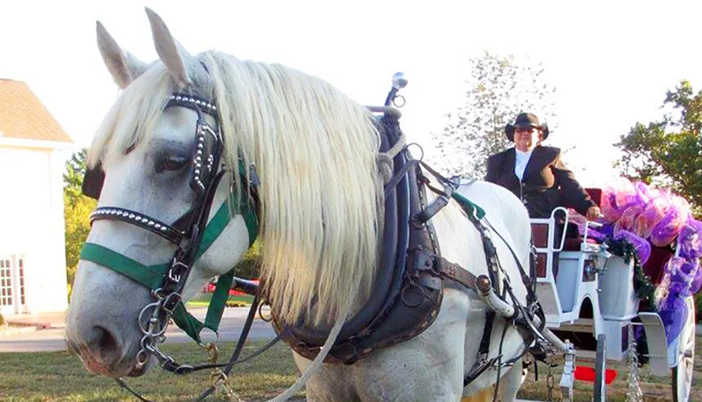 Heritage Carriage Rides