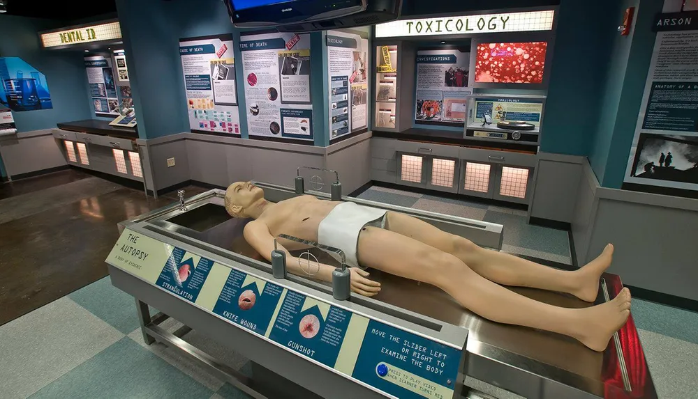 The image depicts an interactive educational exhibit featuring a mannequin on an autopsy table with informative displays about forensic science in the background