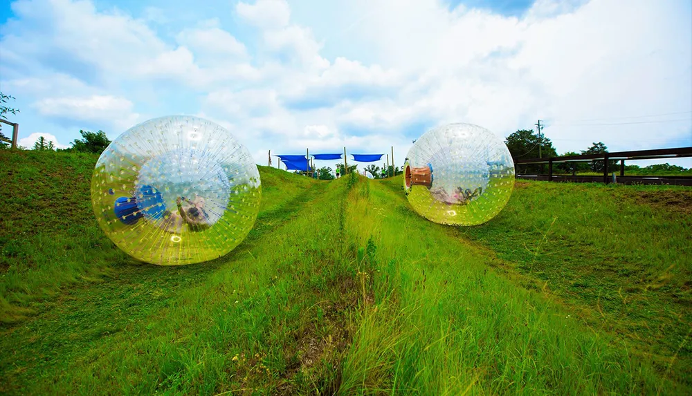 Two people are having fun inside large transparent inflatable balls rolling down a grassy slope