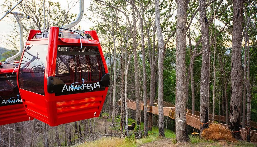 A red gondola lift marked with the word Anakeesta is pictured among a forested area with a wooden walkway below