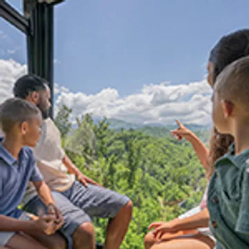 Anakeesta Mountain Sightseeing Chondola in Pigeon Forge - Hours, Schedule & Reviews Photo