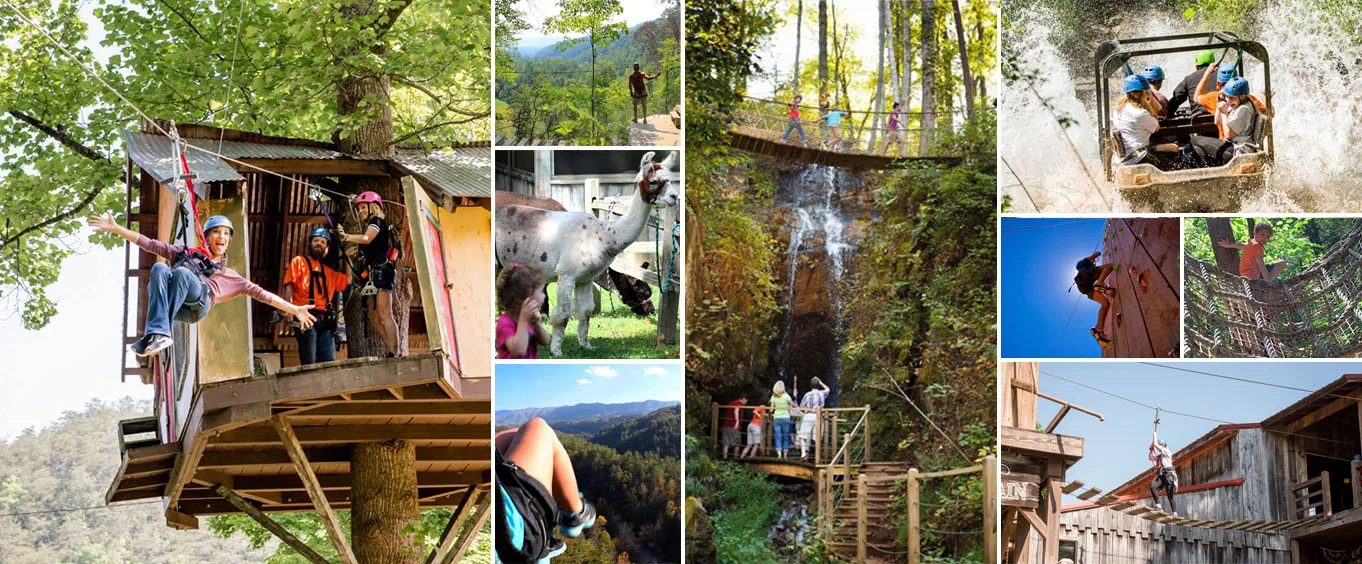 Foxfire Mountain Adventure Park Zipline Tours