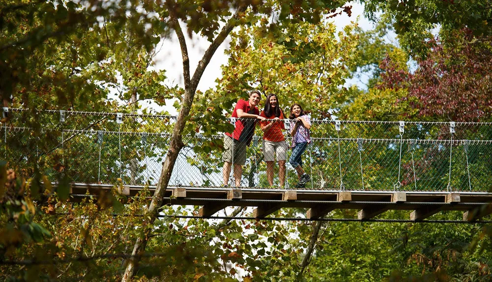 Three people are standing on a suspended bridge among trees smiling and posing for the camera