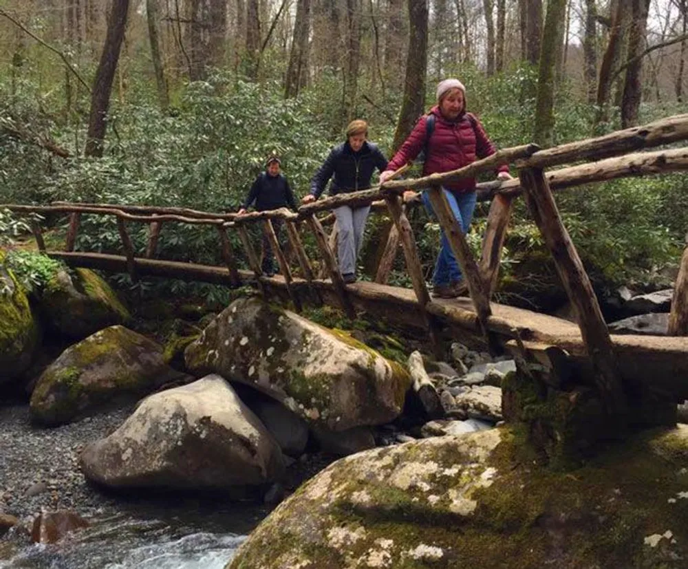 Three people are crossing a rustic wooden bridge over a rocky stream in a forested area