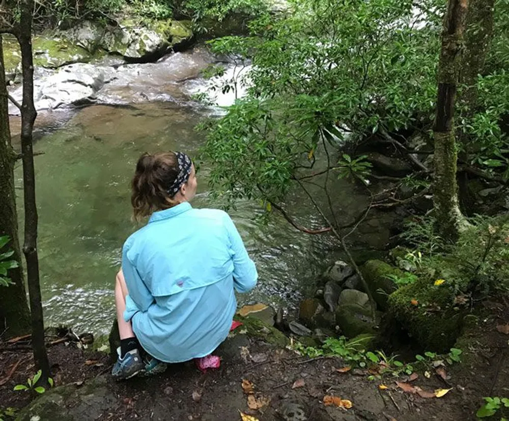 A person is crouching by a serene woodland stream surrounded by greenery