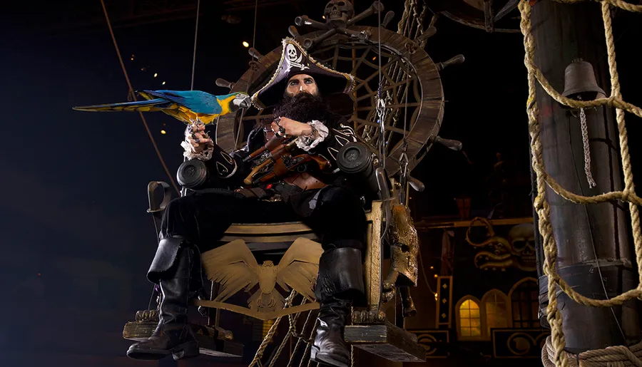 A pirate dressed in elaborate attire sits on a throne-like chair, holding a colorful parrot on his arm.