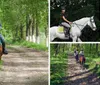 A group of riders wearing helmets is seen from behind as they enjoy a leisurely horseback ride along a tree-lined dirt trail