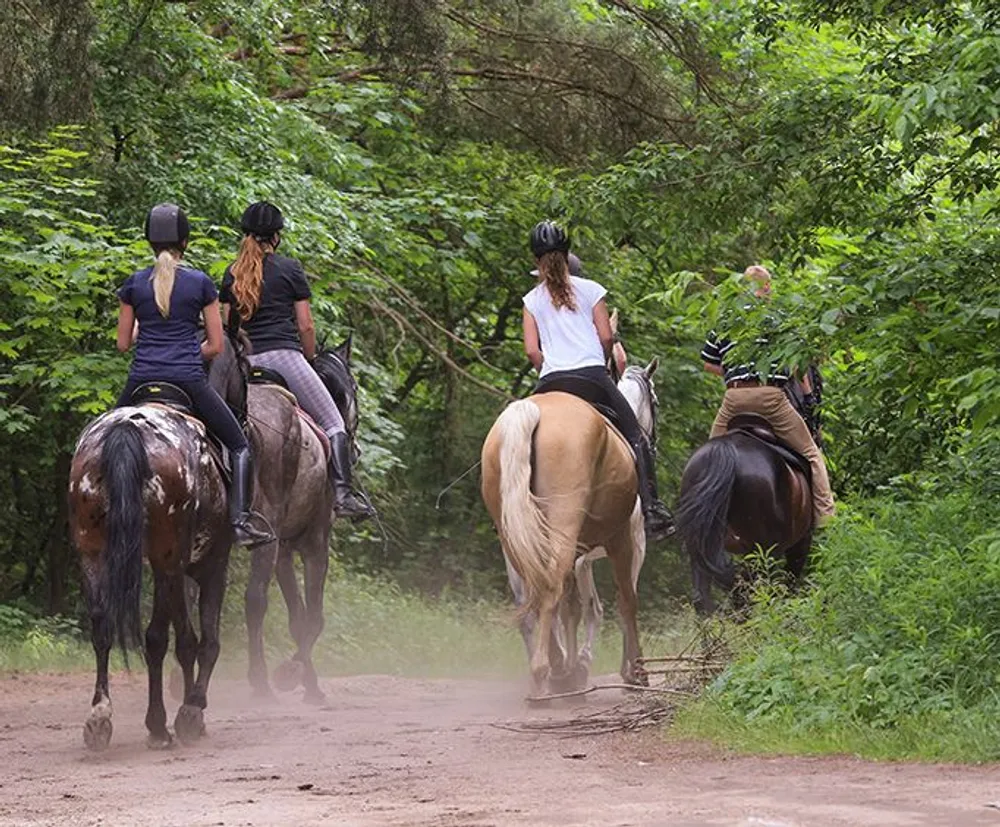 A group of riders wearing helmets is seen from behind as they enjoy a leisurely horseback ride along a tree-lined dirt trail