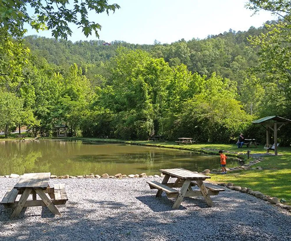 A tranquil park setting with a pond surrounding greenery picnic tables and a person leisurely fishing