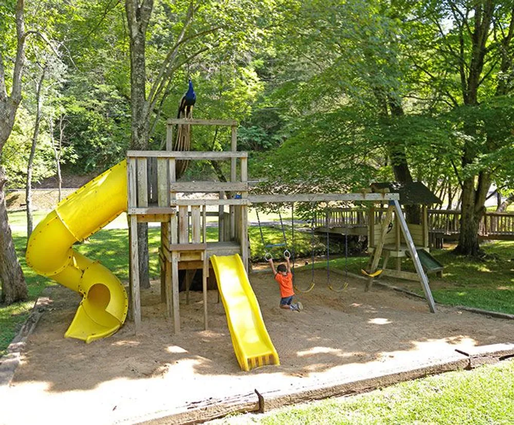 The image shows a playful outdoor setting with a wooden playground structure featuring slides and swings surrounded by trees and sand on a sunny day