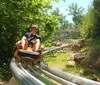 An adult and a child are raising their arms in excitement while riding a blue alpine coaster amidst a lush green landscape