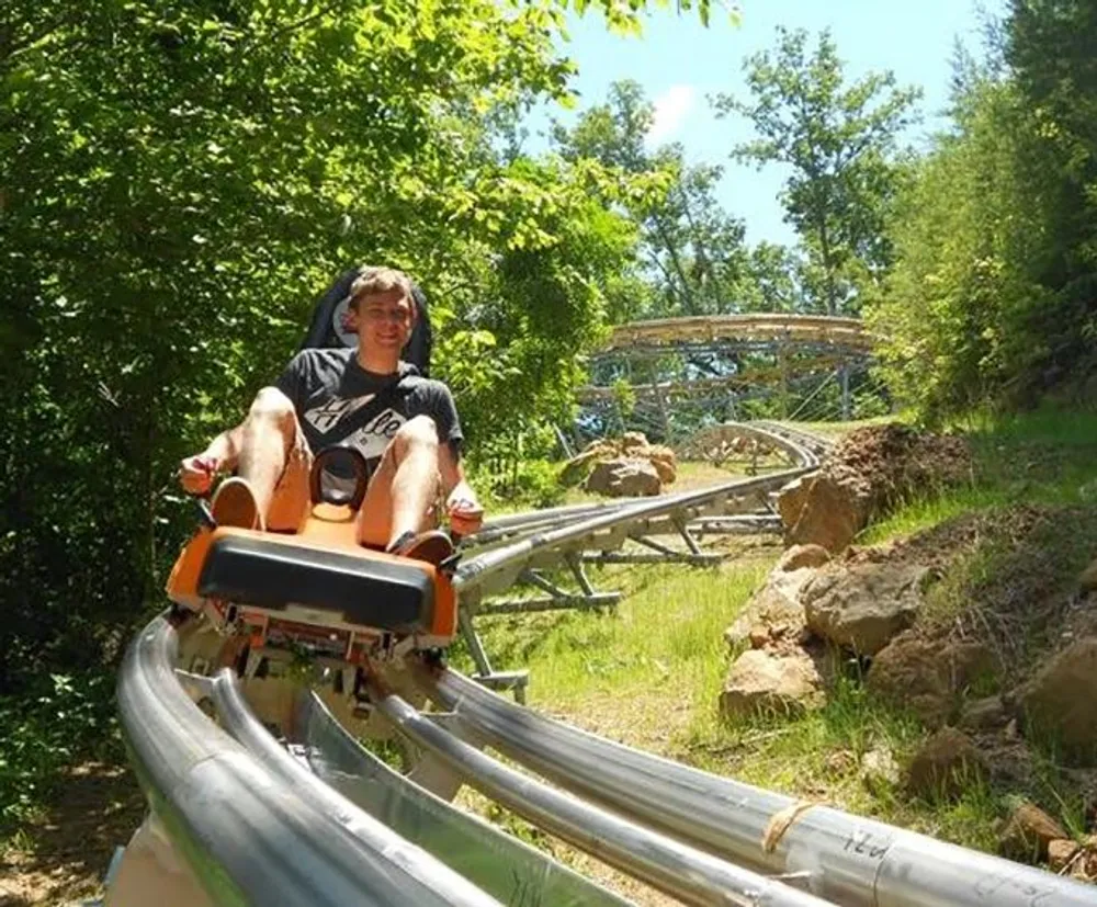 A person is enjoying a ride on a mountain coaster among green scenery on a sunny day