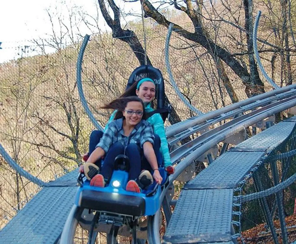 Two individuals are riding a mountain coaster amidst a scenic backdrop with one person steering and the other enjoying the ride from behind