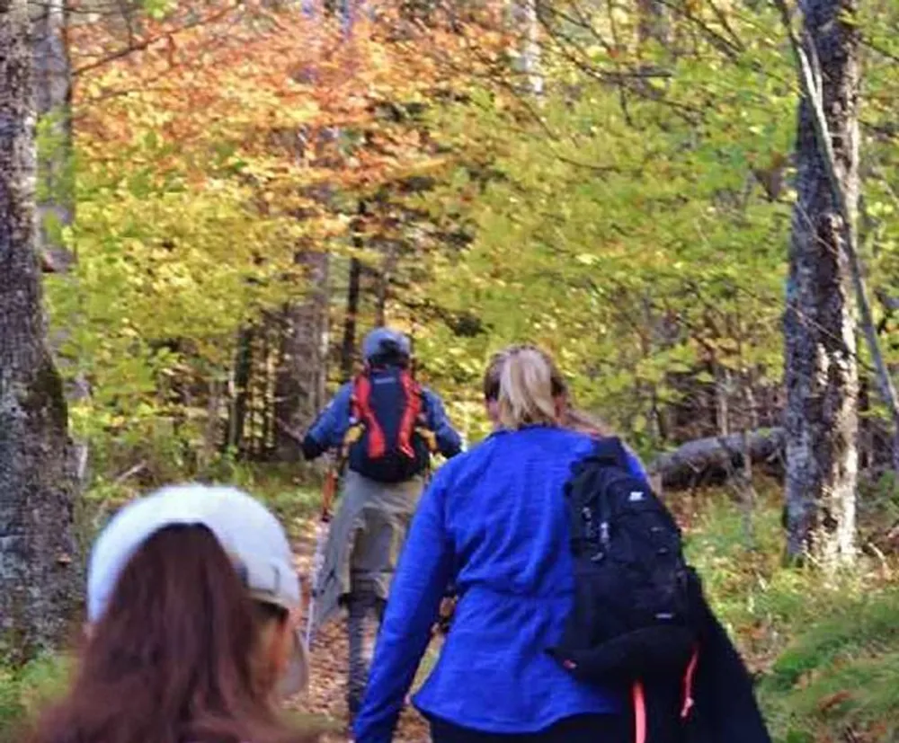 A group of hikers are walking through a forest trail surrounded by autumn foliage