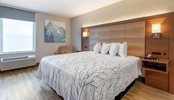 The image shows a modern hotel room with a large bed featuring a branch-patterned bedspread flanked by wooden headboard and side tables a colorful chair and a mountain-themed artwork on the wall